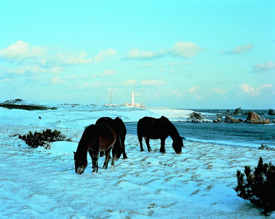 Pittinn Goshogawara Dış mekan fotoğraf